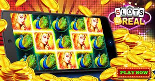 startbet88